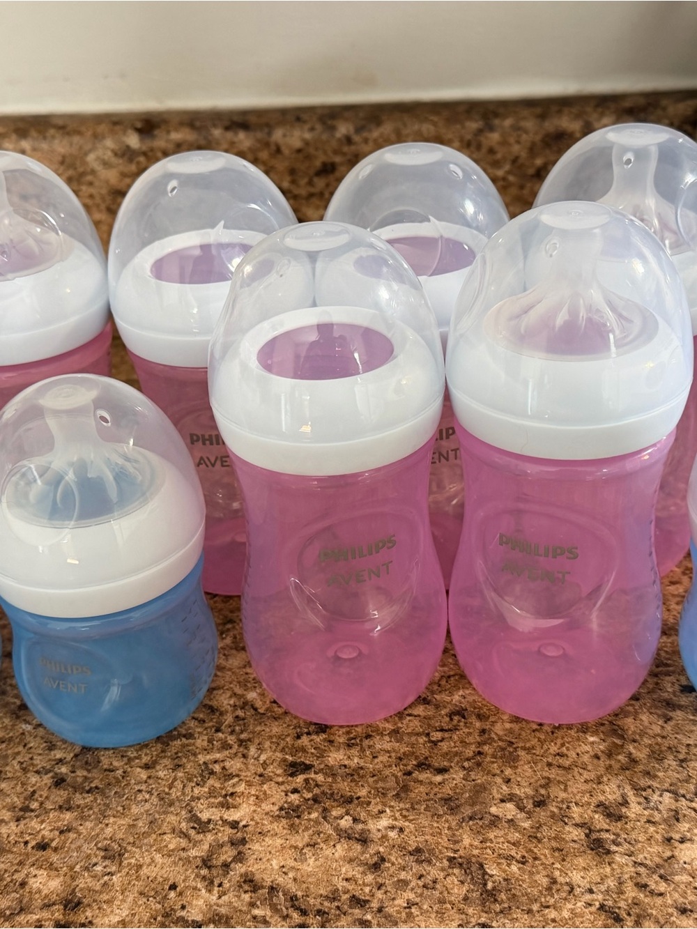 Phillips avent bottles